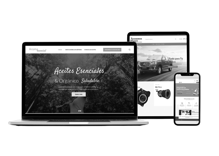 Modelos Desarrollo Diseño Páginas Web Empresas