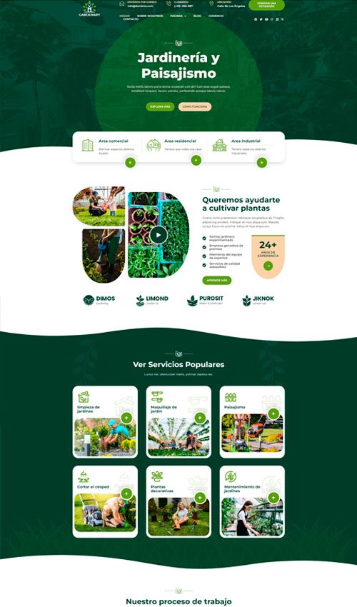diseño y desarrollo web temuco
