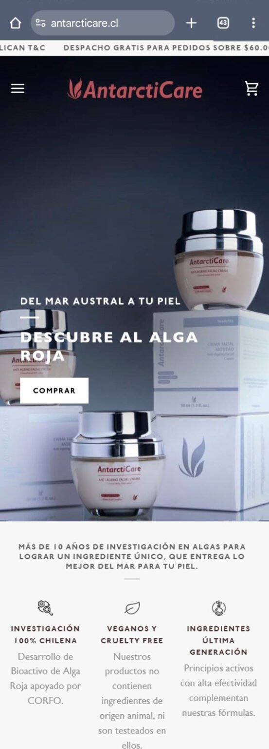 Diseño Web Shopify Chile 7 antarcticare-01