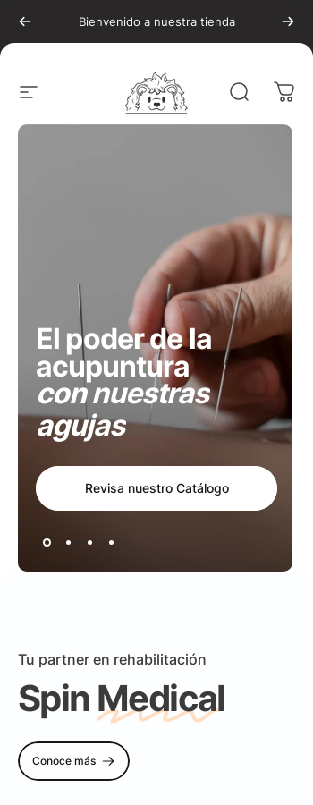 Diseño Web Shopify Chile 4 spinmedical.cl